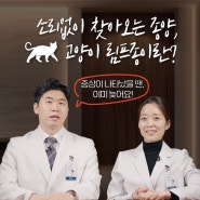 [SNC동물메디컬센터] 소리없이 찾아오는 고양이 종양 림프종, 증상과 진단방법 그리고 항암치료에 대해서 설명해드려요!