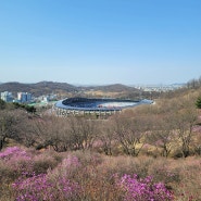 진달래축제 현장 미리 다녀왔어요~~(원미산 진달래동산)