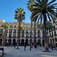[스페인 자유여행12] 바르셀로나 유유자적하기 바르셀로네타🏖 보케리아시장 비니투스 꿀대구 레이알광장 고딕지구✨️