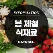 [나뚜렐 생활정보] 지금 먹으면 좋은 봄 제철 음식을 소개합니다!
