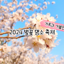 2024 벚꽃 개화시기 전국 벚꽃 명소 축제 가볼만한곳 리스트 3