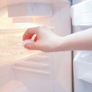 냉장고 속 세균