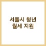 서울시 청년 월세지원 신청 기간, 자격, 서류 총정리