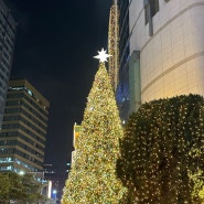 12월 크리스마스 서울여행