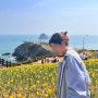 부산 봄여행 가볼만한곳 '오륙도 해맞이공원' 수선화/스카이워크 (주차장, 방문시간)