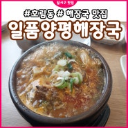 호림동 맛집! 한국인의 소울푸드~일품양평해장국 대구성서모다점