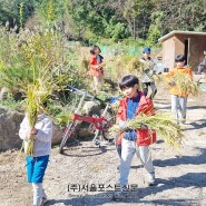 강북 도시농업 체험장 운영 “도시텃밭 278 구획 분양”