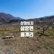 산청토지매매 감나무밭 계획관리 삼장면 홍계리 토지매매