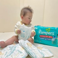 샘 걱정 없는 흡수력 좋은 팬티기저귀, 업그레이드된 팸퍼스 베이비 드라이 8개월 아기 4단계 찐 사용후기