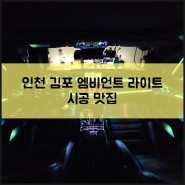 인천 김포 엠비언트 알아보다 찾은 성지 / 스팅어 엠비언트 라이트 시공