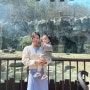 18개월 아기랑 #서울대공원동물원 주차꿀팁 / 다둥이 무료입장 정보도 있어요 :)
