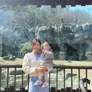 18개월 아기랑 #서울대공원동물원 주차꿀팁 / 다둥이 무료입장 정보도 있어요 :)