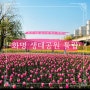 부산 4월 봄 꽃 구경 화명 생태공원 튤립 개화 상황 주차장 안내