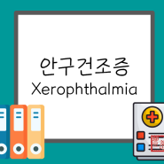 [ OT ] 안구 건조증, xeropthalmia