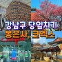 서울 강남구 당일치기 여행 봉은사 코엑스 별마당도서관