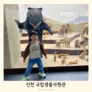 인천 국립생물자원관 무료전시 아이랑가볼만한곳(이용/주차)