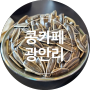 [광안리] 콩카페 내돈내산 베트남현지그대로 해바라기씨 추천