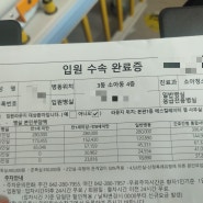 충남대학교병원 소아병동 요로감염 입원 및 병원정보 비용 후기