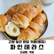 [고양 일산, 원당 카페] 파인테라스｜대형 베이커리, 빵집(소금빵, 가격, 주차)