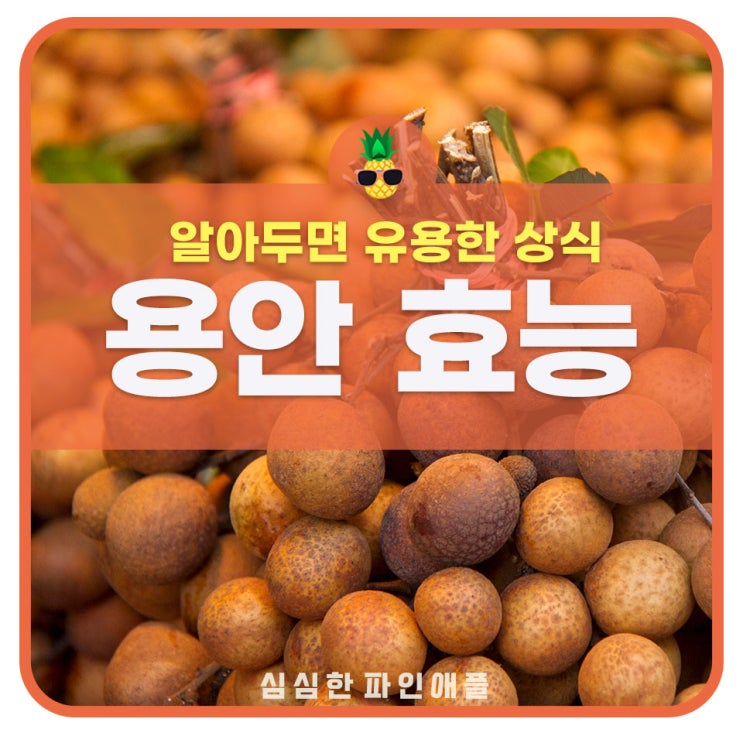 베트남 용안 효능 및 부작용, 먹는법, 칼로리 : 네이버 블로그