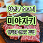 처인구 고기집 미야자키 : 최상급 와규가 있는 한림용인cc 맛집