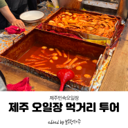 제주오일장 먹거리 투어 feat.땅꼬, 춘향이네, 빙떡, 옛날시거리짜장