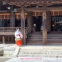 일본 미야자키 여행 2: 미야자키 신궁(宮崎神宮), 태양의 여신 숭배(신궁과 신사의 차이)