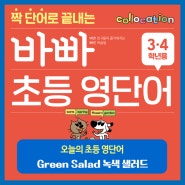 [초등 영단어-3,4학년] Green Salad, 녹색 샐러드