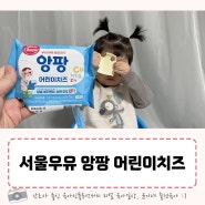 서울우유 앙팡 어린이치즈 아이가 잘먹는 맛있는 어린이치즈 앙팡치즈