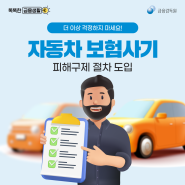 [똑똑한 금융생활] 자동차 보험사기 피해구제 절차 도입