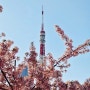 도쿄 시바공원 그리고 도쿄타워