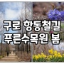 서울 3~4월 가볼만한곳 구로 항동철길『푸른수목』봄꽃 산책하기 좋아요