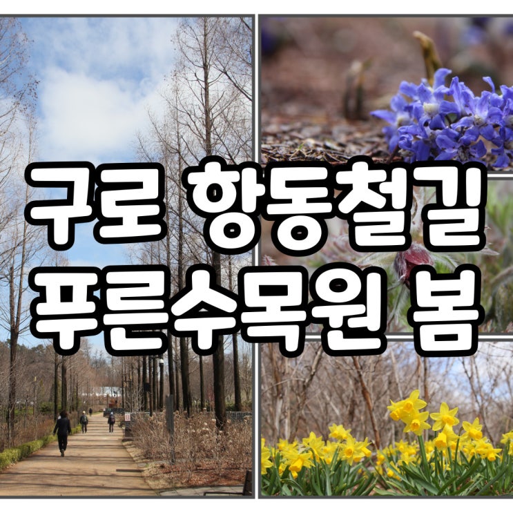 서울 3~4월 가볼만한곳  구로 항동철길『푸른수목』봄꽃...