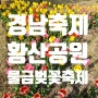 경남 봄축제 양산 물금벚꽃축제 행사일정 주말에 가볼만한 곳