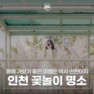 국내 봄 여행지 - 서울 근교 벚꽃 명소 인천 신석체육공원, 청라호수공원