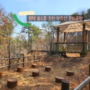 평택 야외 놀이터 부락산 문화공원 봄소풍으로 추천