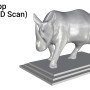 iRhino App | Object 3D Scan