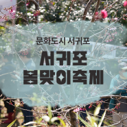 2024 서귀포봄맞이축제 "봄꽃하영이서"