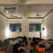 인요가바이브 (YinYoga TTC)