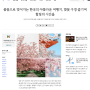봄꽃으로 빚어지는 한국의 아름다운 여행지 벚꽃 구경 일정 힐링시간
