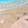 해변 트릭아트, 바다 트릭아트로 제작한 실내 인테리어 바닥 벽화, 키즈 카페 벽화
