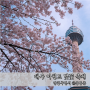대구 이월드 벚꽃 축제 블라썸 피크닉