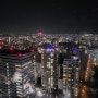 후쿠오카 타워 멋진 뷰
