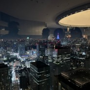 도쿄에서 무료로 멋진 야경 관람하기 - 신주쿠 도쿄도청 전망대 가는법, 시간, 라이트쇼