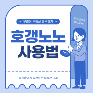 부동산 어플 추천 호갱노노 왕관 활용법