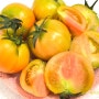 마싯농 제철 과일 대저 짭짤이 토마토 후기+토마토 사과주스