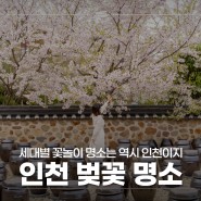 4월 꽃구경 나들이 추천 - 월미공원, 인천대공원, 장봉도