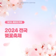 2024년 전국 벚꽃축제 with 매머드커피