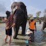 태국 파타야 :: 엘리펀트 정글 생츄어리 (Elephant Jungle Sanctuary), 코끼리 정글 보호센터, 아이와 함께, 내돈내산