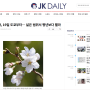 일본의 다양한 문화, 연예 정보는 JK Daily 에서 빠르게 확인하세요!